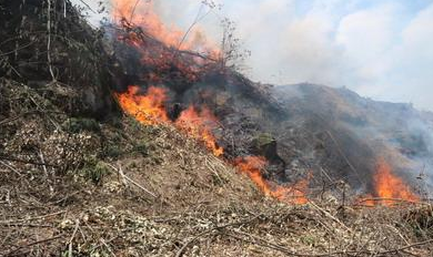 1499997606640030.png blob.png