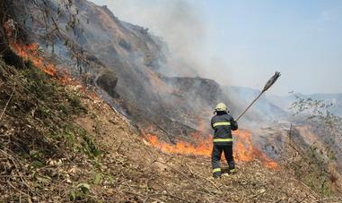 1499997616792023.png blob.png